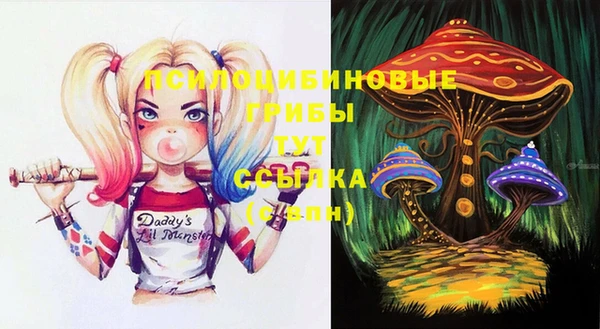 мяу мяу мука Алексин