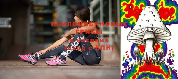 сатива Алексеевка