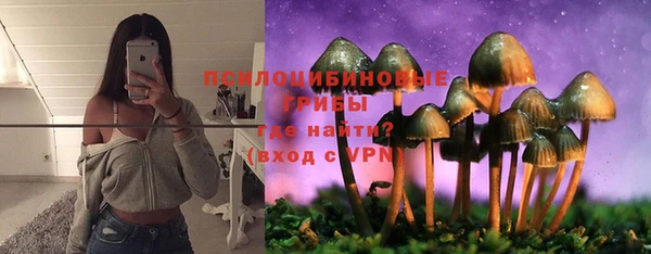 сатива Алексеевка