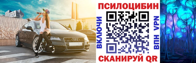 Галлюциногенные грибы Psilocybe  Харовск 